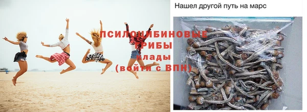 прущая мука Алзамай