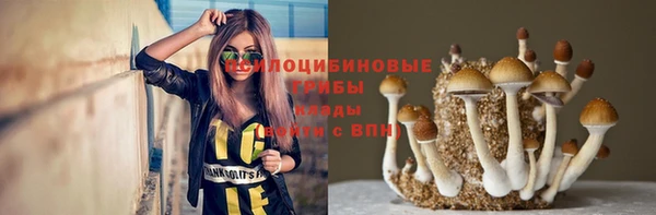 прущая мука Алзамай